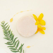 Cargar imagen en el visor de la galería, Champú sólido natural y ecológico para cabellos secos o dañados - Apto para método curly